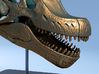 Giraffatitan - dinosaur skull replica 3d printed Teeth for stripping leaves from branches