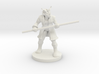 Red Dragonborn Male Monk with Staff 3d printed 