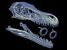 Velociraptor - dinosaur skull replica 3d printed Render of model parts
