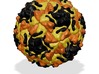 Rhinovirus Serotype 2 3d printed 