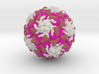 Rhinovirus Serotype 16 3d printed 