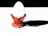 Egg cup _ The nest 3d printed 