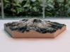 Model of Mt. Rainier, WA (10cm, Full-Color) 3d printed 