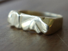 Abstract Stone Ring 3d printed Polished Brass