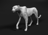 Cheetah 1:76 Walking Male 3 3d printed 