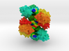 Topoisomerase IIβ with DNA 3d printed 