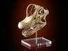 Giraffatitan - dinosaur skull replica 3d printed Detailed and accurate