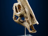 Parasaurolophus - dinosaur skull replica 3d printed Photo of 3D printed model