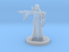 Elven Mage with Raven  3d printed 