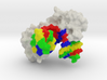 TATA-Binding Protein complexed with DNA 3d printed 
