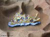 Dorisoni the Nudibranch 3d printed Hand Painted White Strong & Flexible Polished