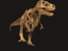 Dinosaur Tyrannosaurus rex Skeleton 3d printed 
