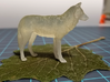 North American Gray Wolf - Small 3d printed 