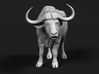 Cape Buffalo 1:48 Standing Male 4 3d printed 