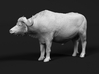 Cape Buffalo 1:6 Standing Male 3 3d printed 
