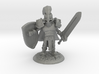 TRISTAN THE PALADIN 3d printed 