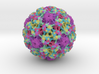 Human Papillomavirus 3d printed 