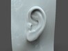 Realistic female ear model F1P1D0V1ear 3d printed 