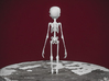 Grey Alien Skeleton 3d printed 