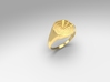 Topography Signet Ring 3d printed 
