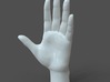Casual Woman Hand Model F1P1D0V1hand 3d printed 