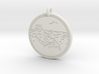 Gray Whale Animal Totem Pendant 3d printed 