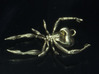 Spider Pendant - Beautiful Hunter 3d printed 