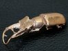 Stag beetle with closed jaws  3d printed 
