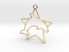 Dolphin & star intertwined Pendant 3d printed 