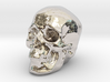 Skull 3DXS 3d printed 