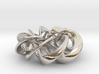 Torus Ribbons - Pendant in Cast Metals 3d printed 