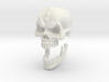 Demon Skull v6 -28mm tall. 3d printed 