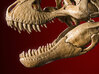 Tyrannosaurus - dinosaur skull and neck vertebrae 3d printed Actual photo