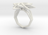 estelle burst ring (110%) 3d printed 