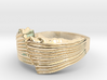 Dip Slip Fault Ring - Geology Jewelry 3d printed 