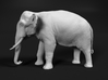 Indian Elephant 1:64 Standing Male 3d printed 
