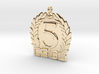 CS:GO - 5 Year Medallion 3d printed 