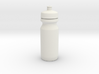 1-3rd Scale Water Bottle 2 3d printed 