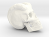 Carved Demon Skull 3d printed 