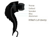 Infest: Earwig in-ear headphones 3d printed 