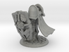 Tristan the Holy Paladin 3d printed 