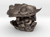 Trilobite -Huntonia Lingulifer with Ammonite stand 3d printed 