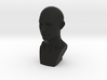 Generic Male Bust 3d printed 
