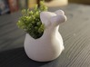 Ralph the Bunny Succulent Pot 3d printed 