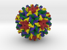 Woodchuck Hepatitis Virus 3d printed 