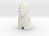 the Consultant 3d printed 