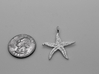 Kaps crustonian Starfish 3d printed Natural Sterling Silver