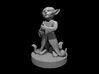 Goblin Sage 3d printed 