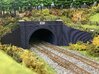 Catesby Tunnel 1897. Main Portal. N Gauge. Pt 1/4 3d printed Whole Portal Tunnel in Landscape