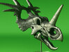 Styracosaurus skull - dinosaur model 3d printed Actual photo